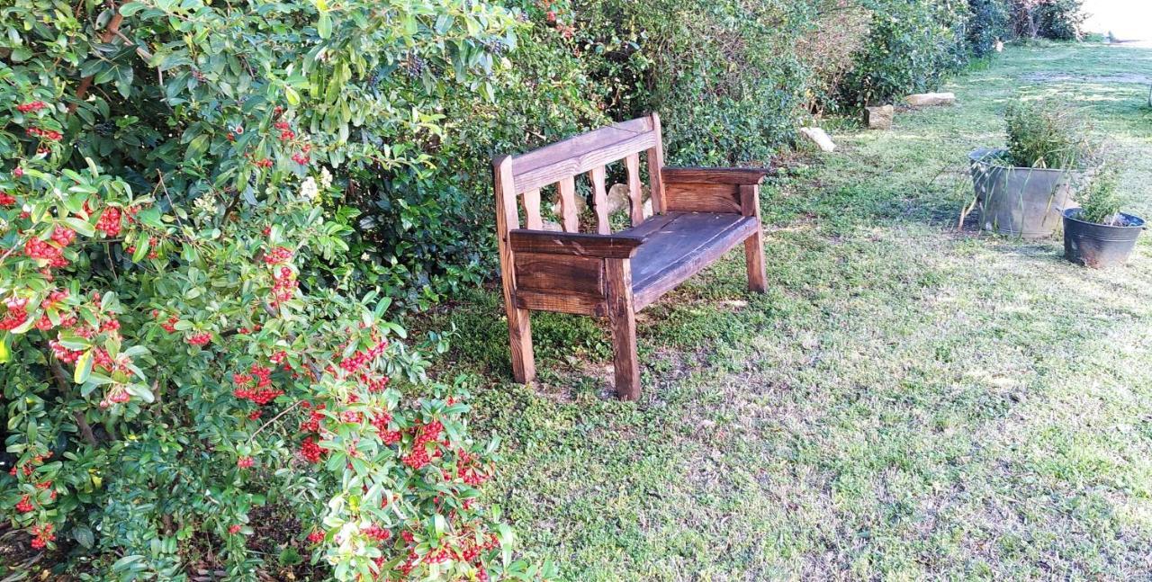 L'Esperluette En Camargue Bed & Breakfast Uchaud Eksteriør bilde